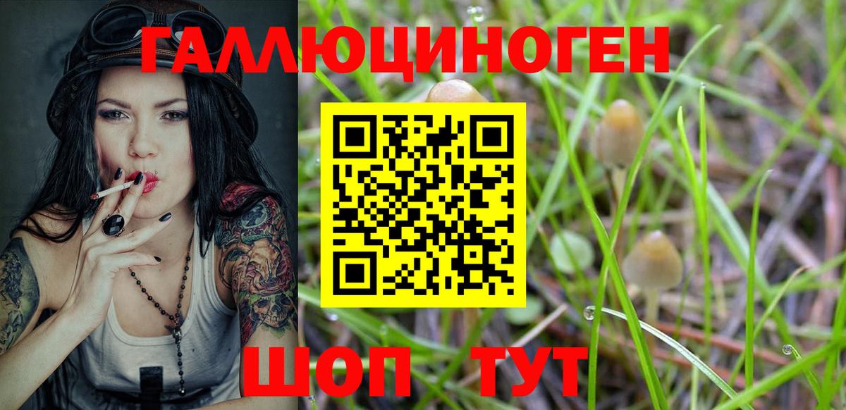 Галлюциногенные грибы Magic Shrooms  Галлюциногенные грибы прущие грибы  Бугуруслан  Вход с VPN 